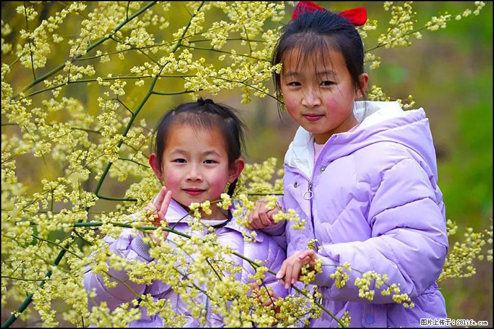 【春天，广西桂林灌阳县向您发出邀请！】米珠山前有片山苍子花在飘香 - 游山玩水 - 巴中生活社区 - 巴中28生活网 bazhong.28life.net