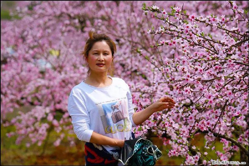 【春天，广西桂林灌阳县向您发出邀请！】官庄村有个醉美的桃花园 - 游山玩水 - 巴中生活社区 - 巴中28生活网 bazhong.28life.net
