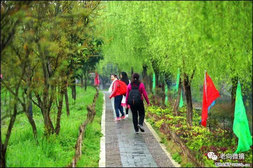 【春天，广西桂林灌阳县向您发出邀请！】江口老街又逢春 - 游山玩水 - 巴中生活社区 - 巴中28生活网 bazhong.28life.net
