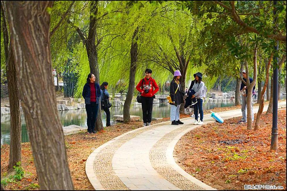 【春天，广西桂林灌阳县向您发出邀请！】江口老街又逢春 - 游山玩水 - 巴中生活社区 - 巴中28生活网 bazhong.28life.net