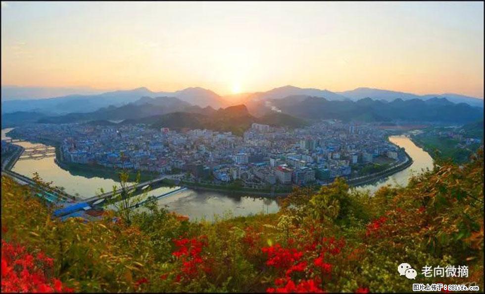 【春天，广西桂林灌阳县向您发出邀请！】登麒麟山，相约映山红 - 游山玩水 - 巴中生活社区 - 巴中28生活网 bazhong.28life.net