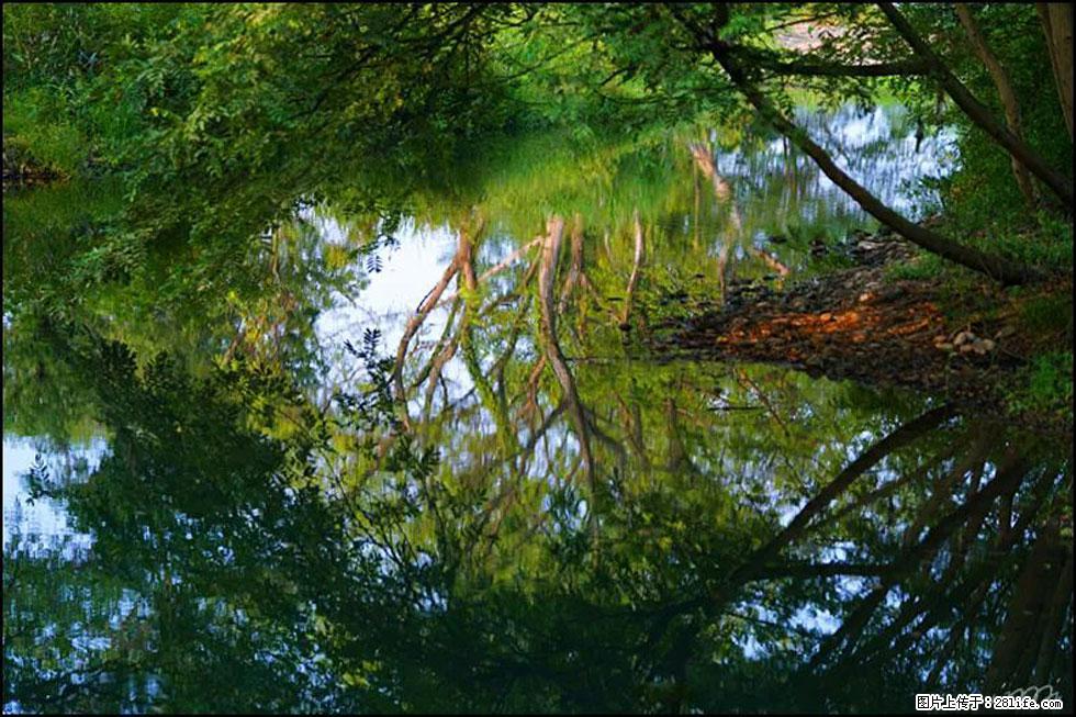 【春天，广西桂林灌阳县向您发出邀请！】熊家寨湿地公园 - 游山玩水 - 巴中生活社区 - 巴中28生活网 bazhong.28life.net