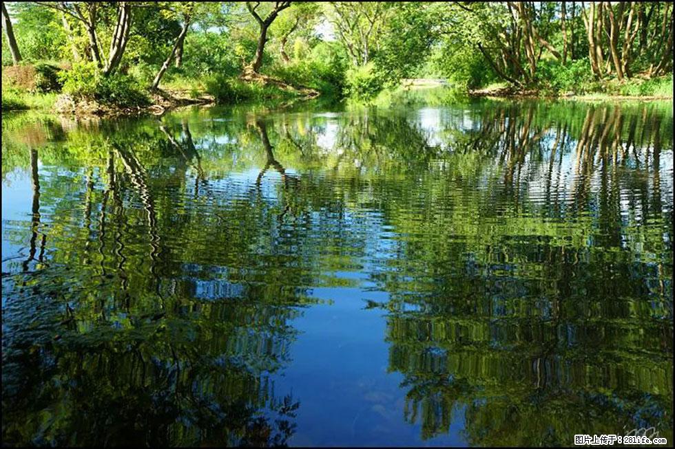 【春天，广西桂林灌阳县向您发出邀请！】熊家寨湿地公园 - 游山玩水 - 巴中生活社区 - 巴中28生活网 bazhong.28life.net