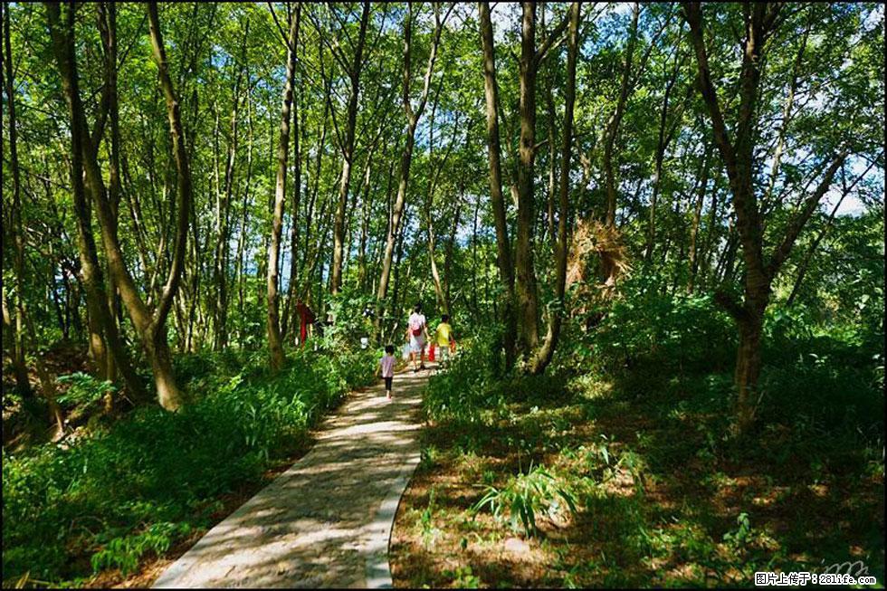 【春天，广西桂林灌阳县向您发出邀请！】熊家寨湿地公园 - 游山玩水 - 巴中生活社区 - 巴中28生活网 bazhong.28life.net