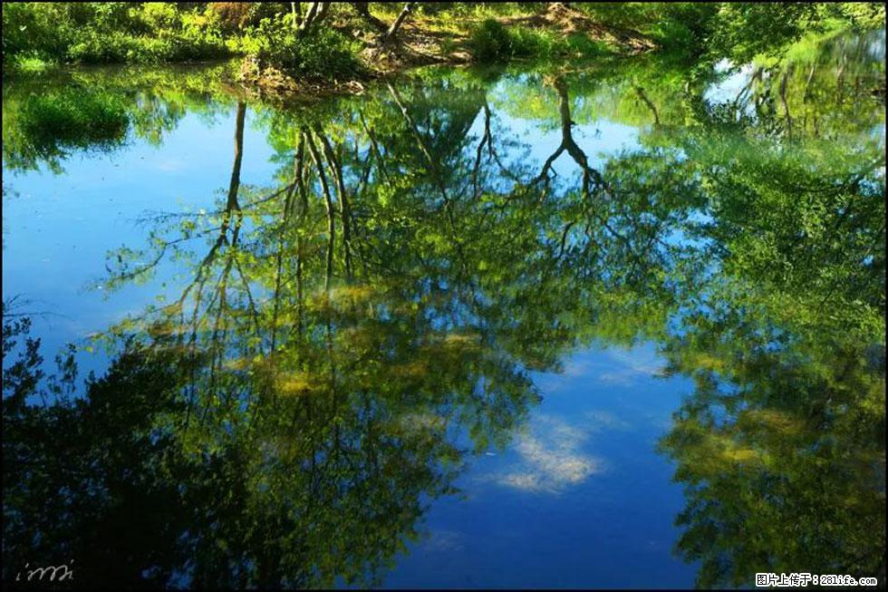 【春天，广西桂林灌阳县向您发出邀请！】熊家寨湿地公园 - 游山玩水 - 巴中生活社区 - 巴中28生活网 bazhong.28life.net