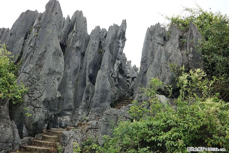 桂林旅游名城景点：灌阳文市石林 - 游山玩水 - 巴中生活社区 - 巴中28生活网 bazhong.28life.net
