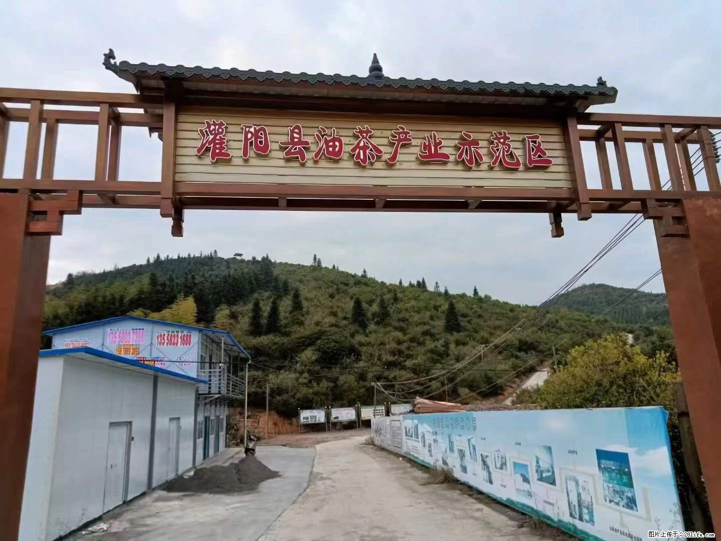 【灌阳县油茶产业示范区】一个有着充实的精神生活的人，对待身外之物自会有一种淡泊的态度 - 土特产 - 饮食特产 - 巴中分类信息 - 巴中28生活网 bazhong.28life.net