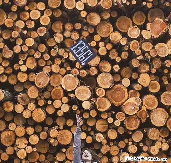 辞掉工作周游世界？现在他们在洗厕所…… - 游山玩水 - 巴中生活社区 - 巴中28生活网 bazhong.28life.net