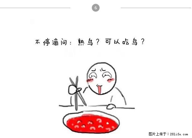 千万不要和这9种哈卵一起吃火锅！ - 美食天地 - 巴中生活社区 - 巴中28生活网 bazhong.28life.net