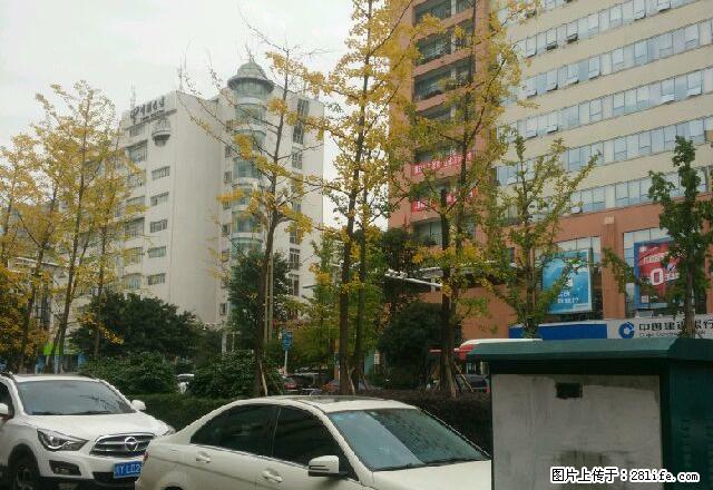 江北水利局附近 3室2厅2卫 - 房屋出租 - 房屋租售 - 巴中分类信息 - 巴中28生活网 bazhong.28life.net