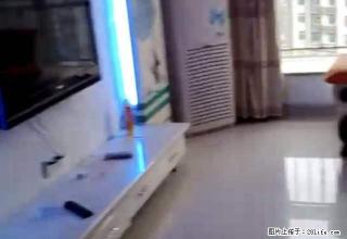 信合大厦附近精装全新全齐三室电梯出租，停车方便，房东急租 - 巴中28生活网 bazhong.28life.net