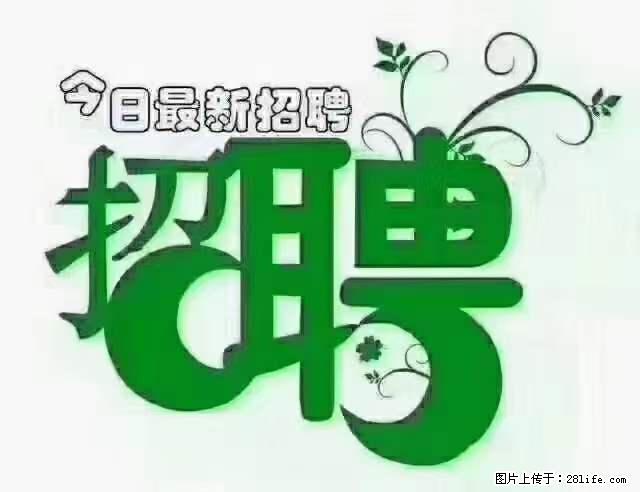 【招聘摄像师】待遇：试用期6000元/月，转正7000元/月+五险一金+餐补+节日福利+奖金 - 职场交流 - 巴中生活社区 - 巴中28生活网 bazhong.28life.net
