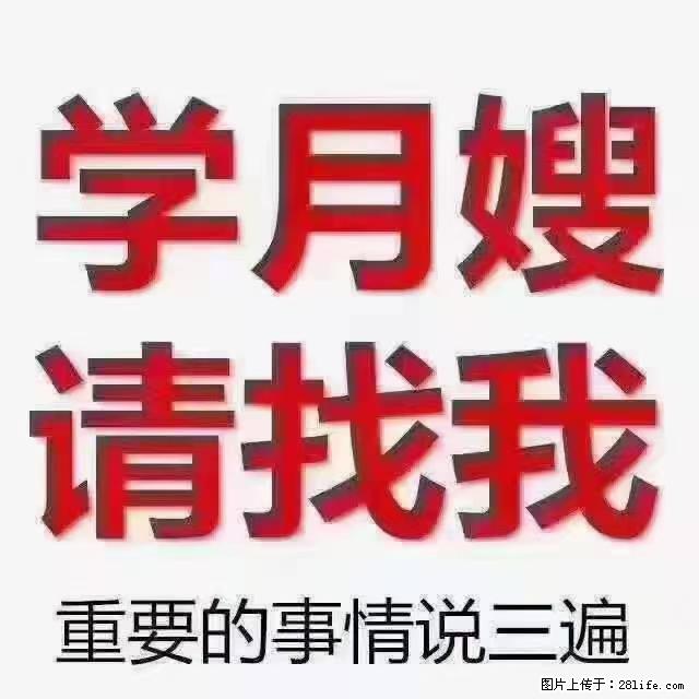 【招聘】月嫂，上海徐汇区 - 职场交流 - 巴中生活社区 - 巴中28生活网 bazhong.28life.net
