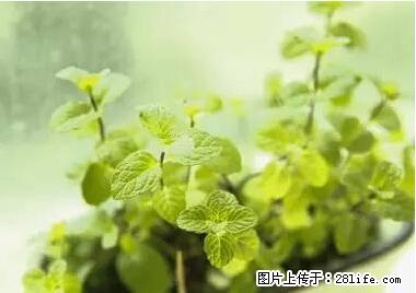 晕车、脚气、牙齿变黄、皮肤粗糙？学会这些三分钟搞定！ - 巴中生活资讯 - 巴中28生活网 bazhong.28life.net