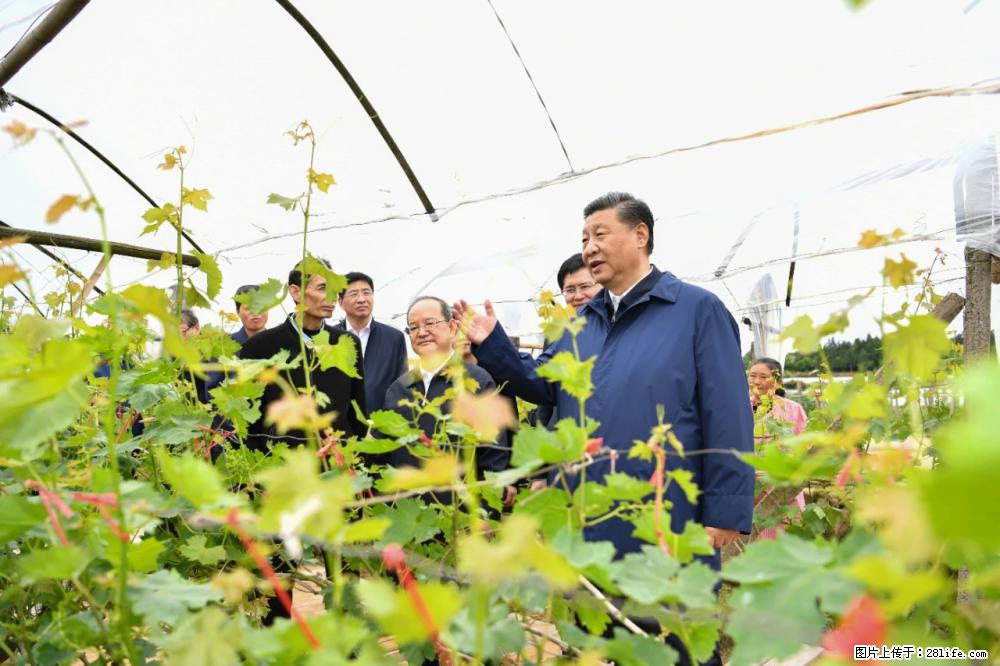 习近平赴广西考察调研 - 巴中生活资讯 - 巴中28生活网 bazhong.28life.net