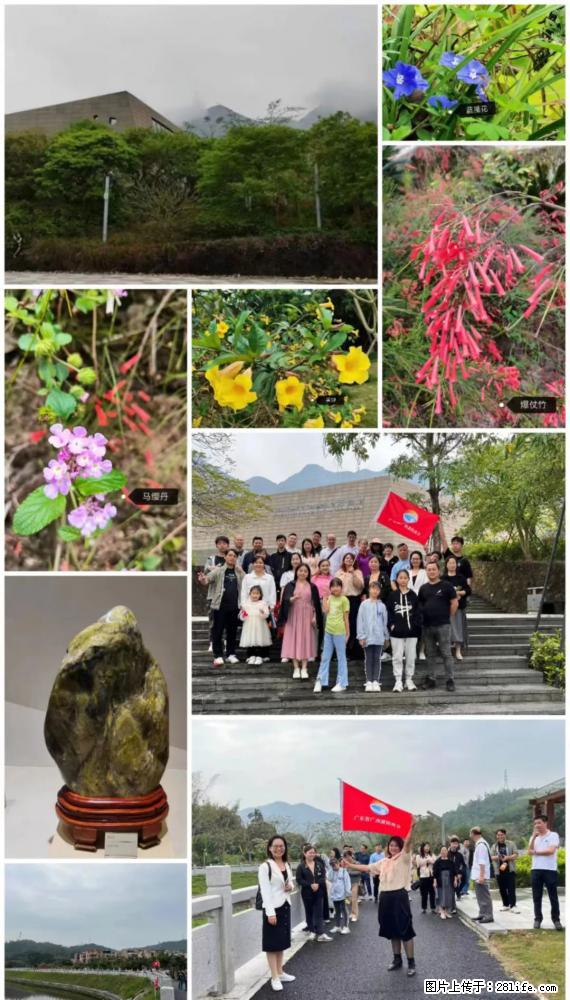 “粤灌文化 美好生活”油茶文化主题活动在广东深圳成功举办 - 巴中生活资讯 - 巴中28生活网 bazhong.28life.net