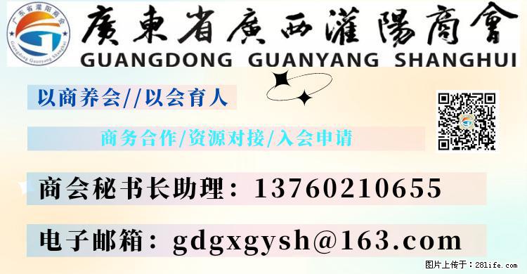“粤灌文化 美好生活”油茶文化主题活动在广东深圳成功举办 - 巴中生活资讯 - 巴中28生活网 bazhong.28life.net