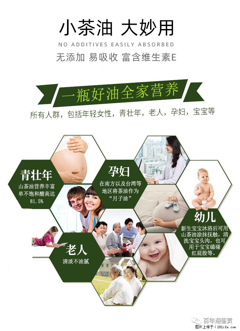 世界没有真相，只有认知，最好的食用油是中国的山茶油！ - 巴中生活资讯 - 巴中28生活网 bazhong.28life.net