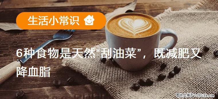 【生活小常识】6种食物是天然“刮油菜”，既减肥又降血脂 - 巴中生活资讯 - 巴中28生活网 bazhong.28life.net